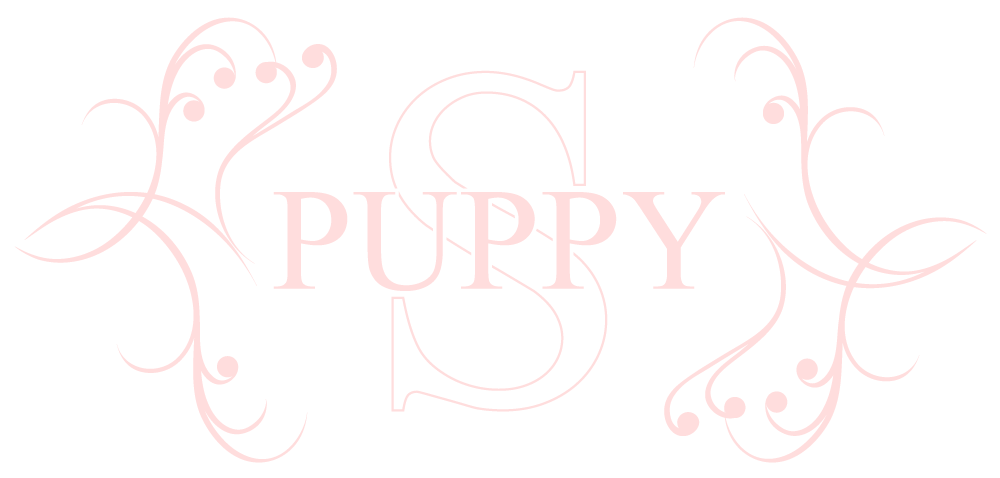 Puppy Siu Online Store